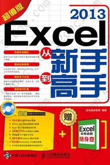 Excel 2013从新手到高手（超值版）