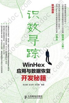 识数寻踪：WinHex应用与数据恢复开发秘籍: WinHex应用与数据恢复开发秘籍