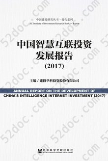 中国智慧互联投资发展报告（2017）: 中国建投研究丛书·报告系列