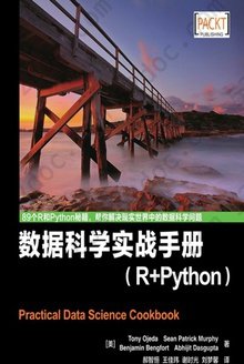 数据科学实战手册：R+Python