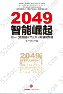 2049：智能崛起: 新一代信息技术产业中长期发展战略