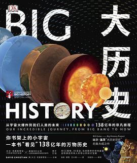 DK大历史: 从宇宙大爆炸到我们人类的未来，138亿年的非凡旅程