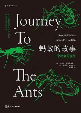 蚂蚁的故事: 一个社会的诞生