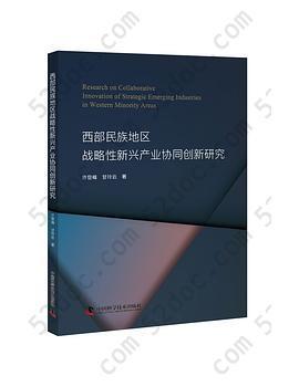 西部民族地区战略性新兴产业协同创新研究