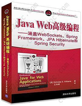 Java Web高级编程: 涵盖WebSockets、Spring Framework、JPA Hibernate和Spring Security
