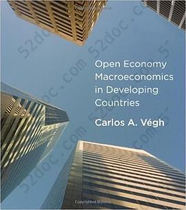 Open Economy Macroeconomics in Developing Countries