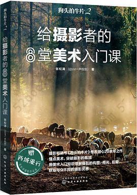 狗头拍牛片2：给摄影者的8堂美术入门课