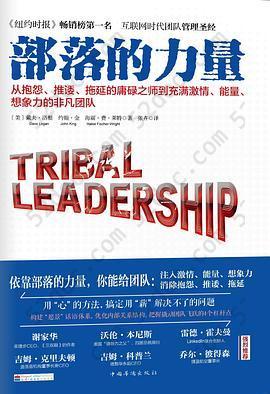 部落的力量: 从抱怨、推诿、拖延的庸碌之师到充满激情、能量、想象力的非凡团队