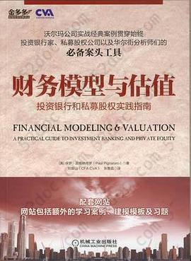 财务模型与估值: 投资银行和私募股权实践指南