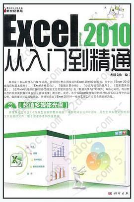 Excel2010从入门到精通