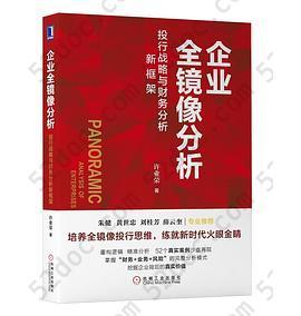 企业全镜像分析: 投行战略与财务分析新框架