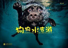 狗狗水底游