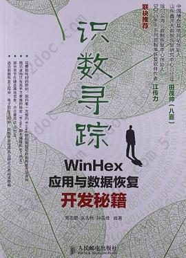 识数寻踪: WinHex应用与数据恢复开发秘籍