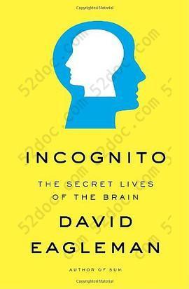 Incognito: The Secret Lives of the Brain