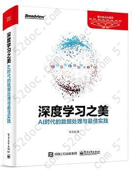 深度学习之美: AI时代的数据处理与最佳实践