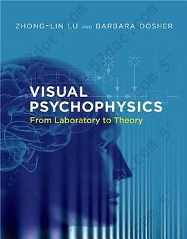 Visual Psychophysics From Laboratory to Theory