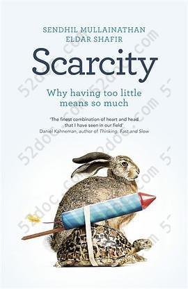 Scarcity: Why Having Too Little Means So Much