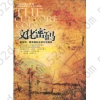 文化密码(最实用最有趣的全球文化解读)(THE CULTURE CODE)