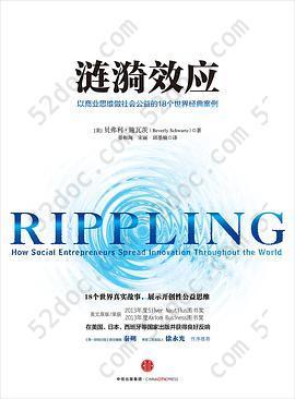 涟漪效应：以商业思维做社会公益的18个世界经典案例