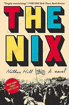 The Nix: A novel