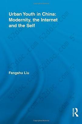 Urban Youth in China: Modernity, the Internet and the Self