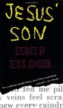 Jesus' Son: Stories