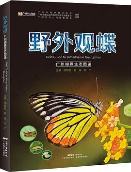 野外观蝶: 广州蝴蝶生态图鉴