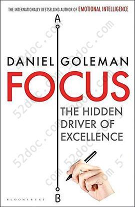 Focus: The Hidden Driver of Excellence