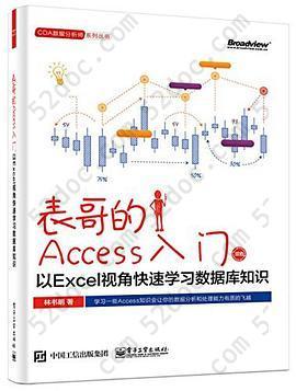 表哥的Access入门: 以Excel视角快速学习数据库知识