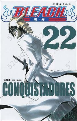 BLEACH 境·界22: 征服者