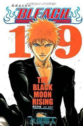 BLEACH 境·界19: 黑月升起