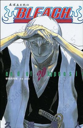 BLEACH 境·界20: 催眠的终结