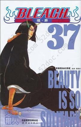 BLEACH 境·界37: 美丽是如此孤寂