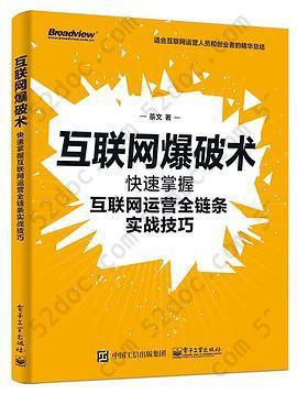 互联网爆破术：快速掌握互联网运营全链条实战技巧