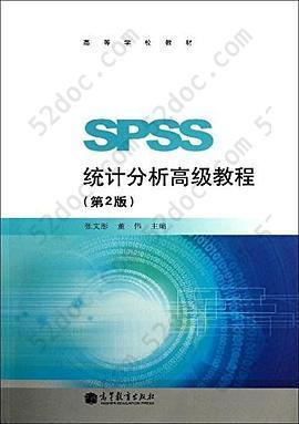 SPSS统计分析高级教程（第2版）: SPSS统计分析高级教程