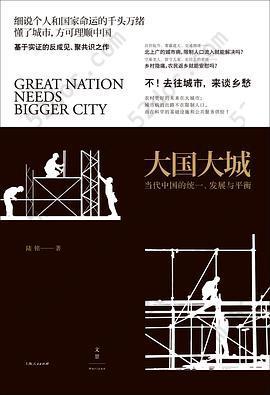 大国大城: 当代中国的统一、发展与平衡
