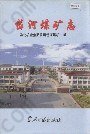 岱河煤矿志