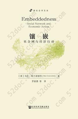 镶嵌：社会网与经济行动（增订版）