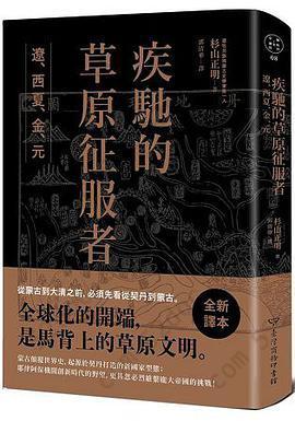 疾馳的草原征服者: 遼、西夏、金、元