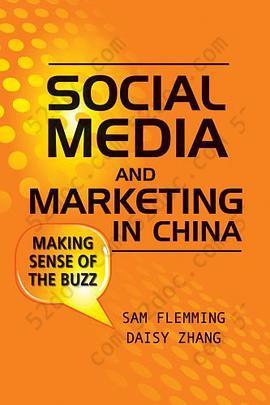 Social Media and Marketing in China: Making Sense of the Buzz