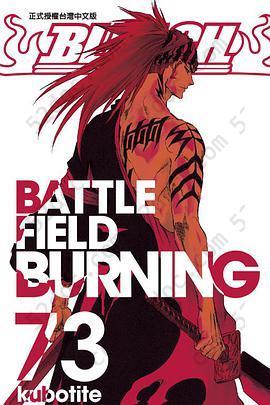 BLEACH死神 73: BATTLE FIELD BURNING