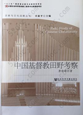 中国基督教田野考察