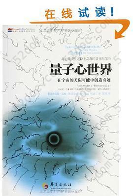 量子心世界: 在宇宙中的无限可能中创造奇迹