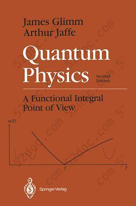 Quantum Physics: A Functional Integral Point of View