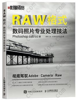 RAW格式数码照片专业处理技法（Photoshop CS6/CC版）