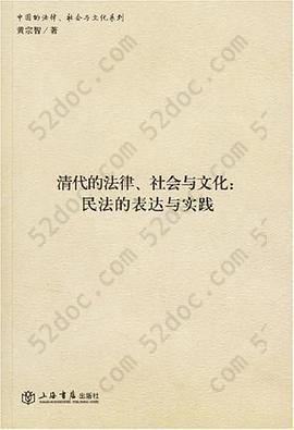 清代的法律、社会与文化: 民法的表达与实践