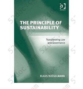 The Principle of Sustainability