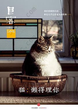 Lens·目客004·猫：懒得理你: 我们爱猫的自由，和它几乎忘恩负义的性格……