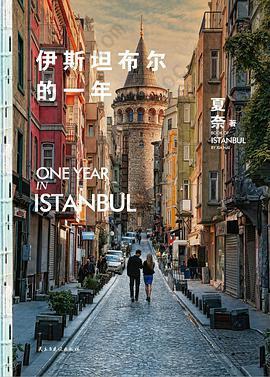 伊斯坦布尔的一年: One Year In Istanbul