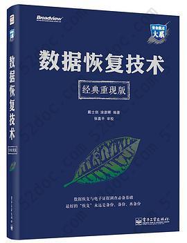 安全技术大系 数据恢复技术（经典重现版）: 数据恢复与电子证据调查必备基础。最好的“恢复”永远是备份、备份、再备份！